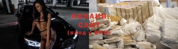 Альфа ПВП Аркадак