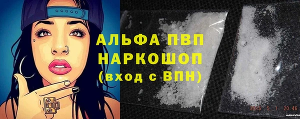 дживик Богданович
