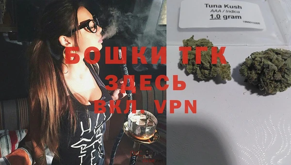 Альфа ПВП Аркадак