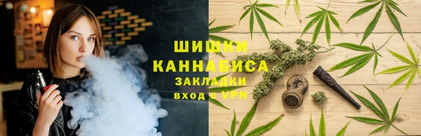 сатива Арсеньев