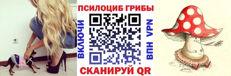 даркнет сайт  Судак  mega ТОР  Галлюциногенные грибы ЛСД 